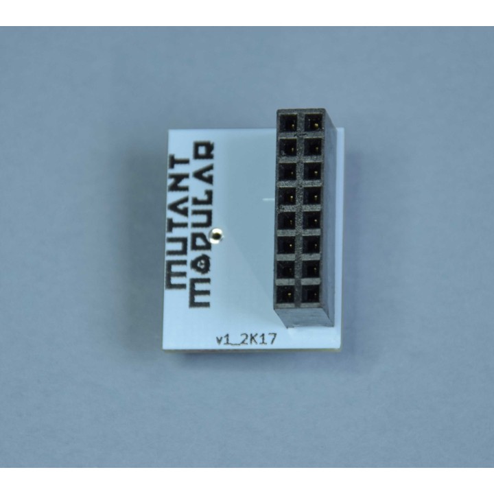Mutant Modular / 5PWR